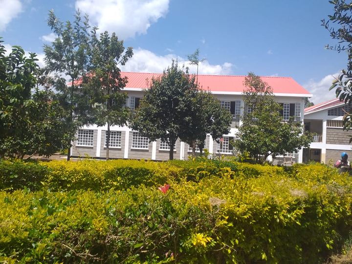 Classroom blocks among trees on a school campus